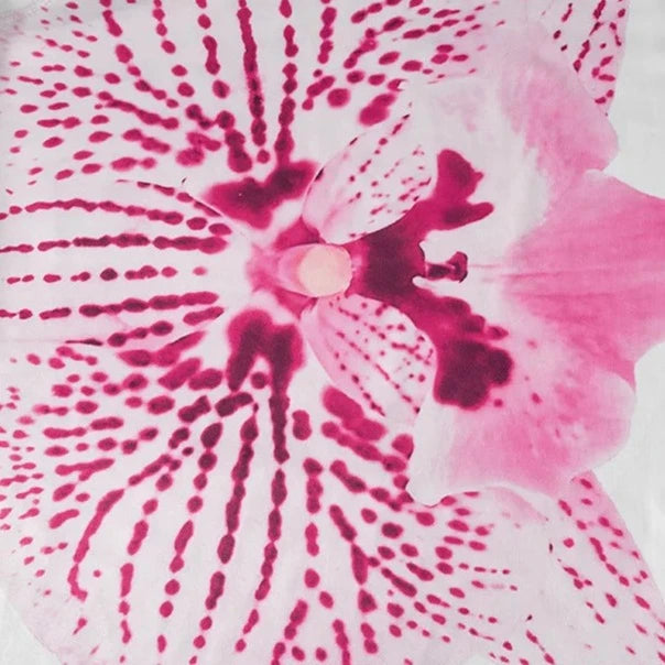 Tropical Girl Floral One Shoulder Top