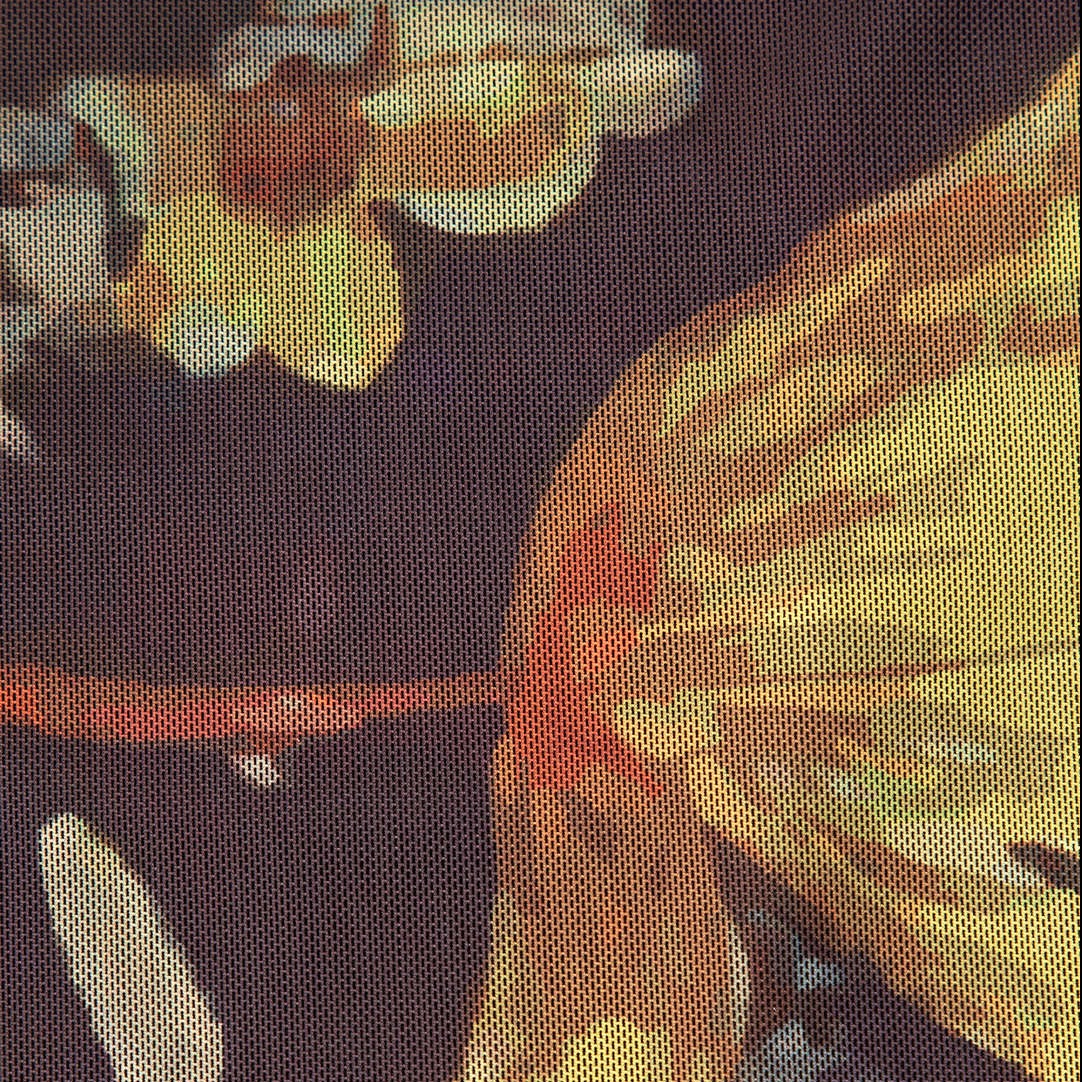 Fairy Secret Garden Mesh Dress